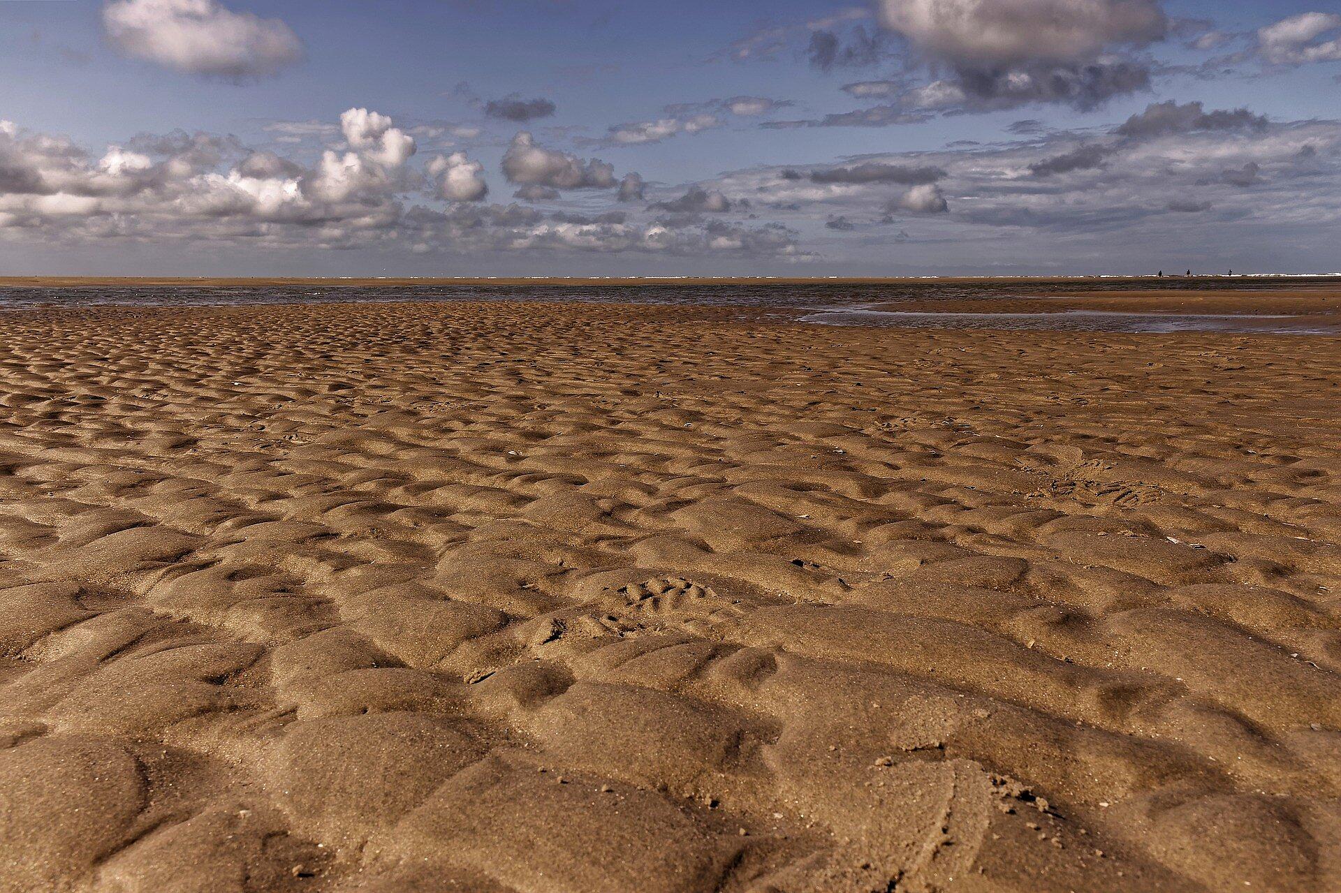 Blick auf den Sand am niederländischen Wattenmeer und den Horizont